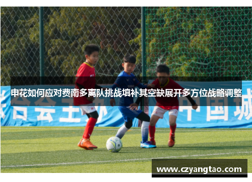 申花如何应对费南多离队挑战填补其空缺展开多方位战略调整