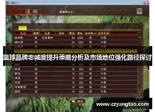 篮球品牌忠诚度提升策略分析及市场地位强化路径探讨
