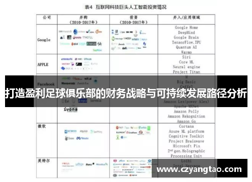 打造盈利足球俱乐部的财务战略与可持续发展路径分析